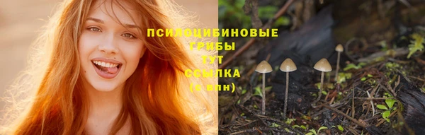 стаф Каменка