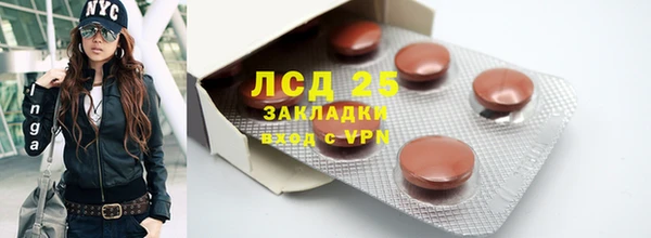 стаф Каменка