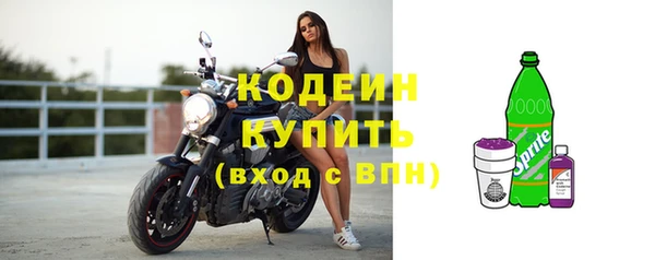 стаф Каменка