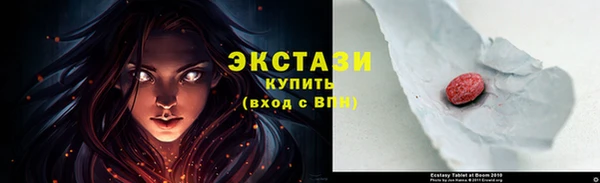 стаф Каменка