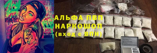 стаф Каменка