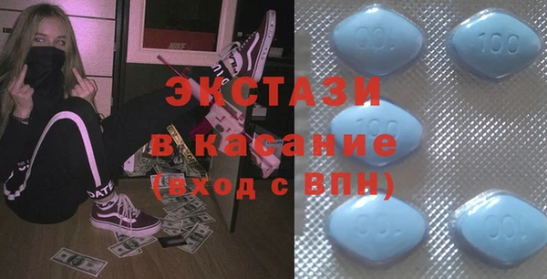 стаф Каменка