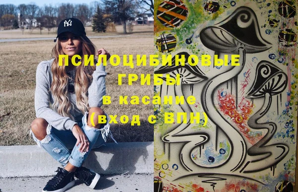 стаф Каменка