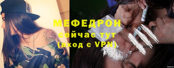 стаф Каменка